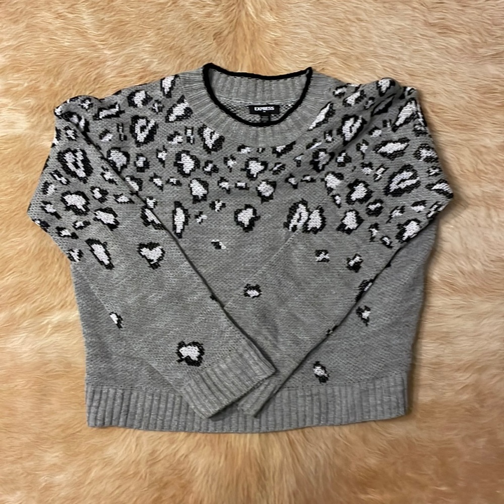 Express sweater